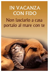 In vacanza con fido